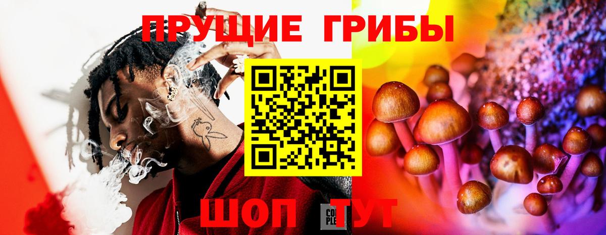 Псилоцибиновые грибы Cubensis Холмск