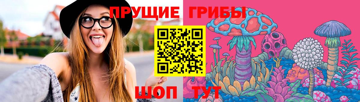 Холмск  Псилоцибиновые грибы Cubensis  Вход с VPN  купить закладку  Псилоцибиновые грибы прущие грибы 